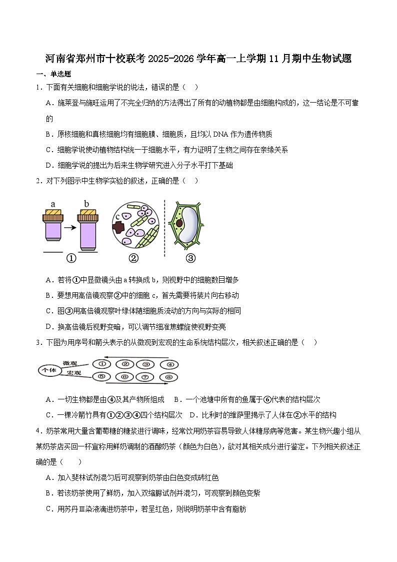 河南省郑州市十校联考2025-2026学年高一上学期11月期中考试生物试卷(含答案)第1页
