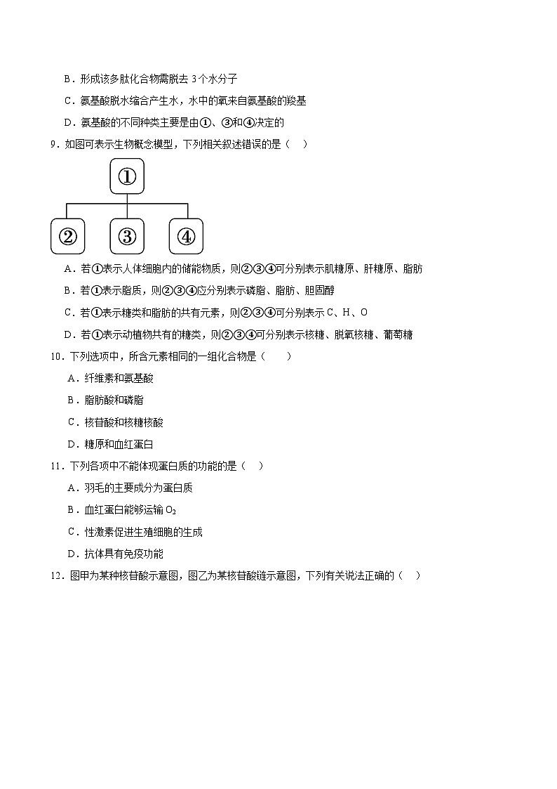 河南省郑州市十校联考2025-2026学年高一上学期11月期中考试生物试卷(含答案)第3页