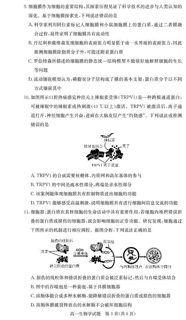湖南炎德英才名校联考联合体2025年秋季高一第二次(期中)联考生物试卷(含答案)第3页
