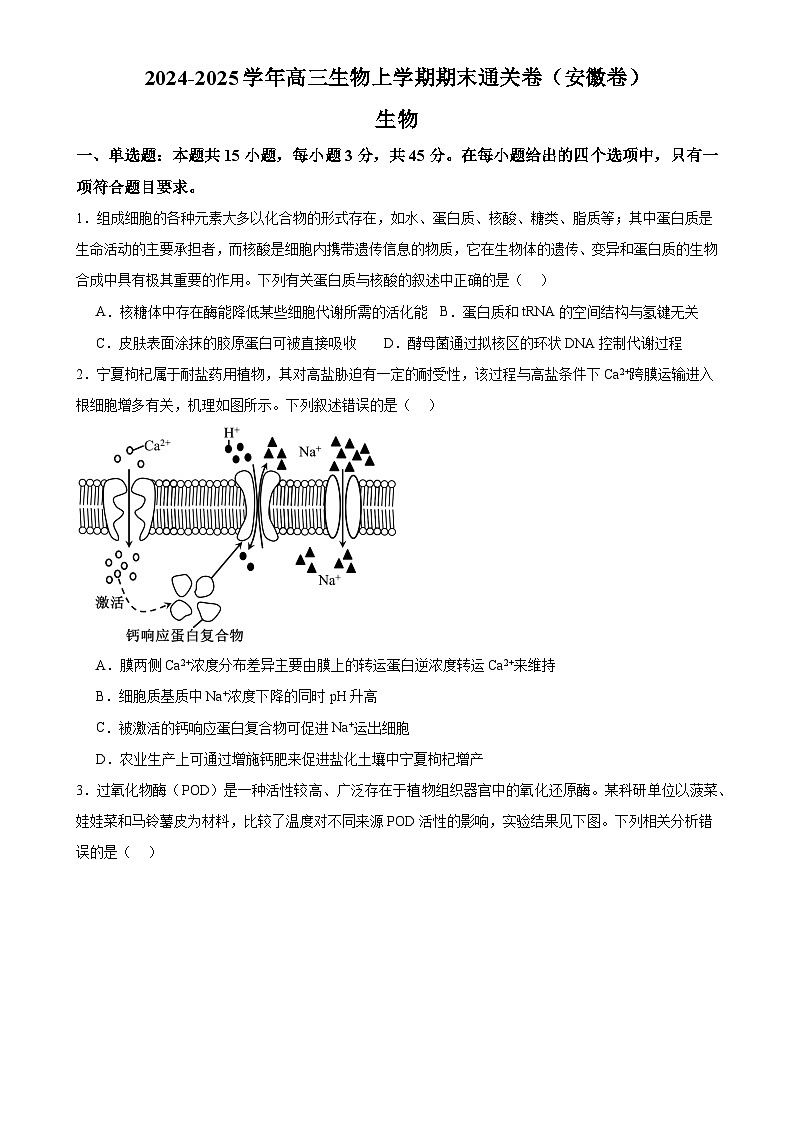 2024-2025学年高三生物上学期期末通关卷02(安徽卷)(原卷版)-A4第1页