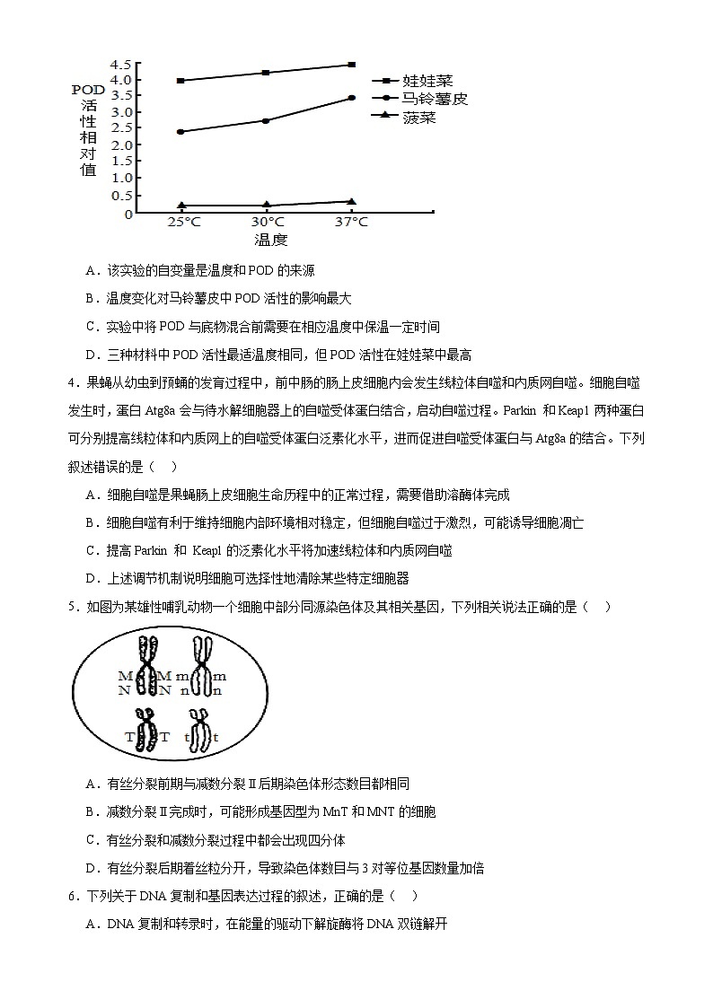 2024-2025学年高三生物上学期期末通关卷02(安徽卷)(原卷版)-A4第2页