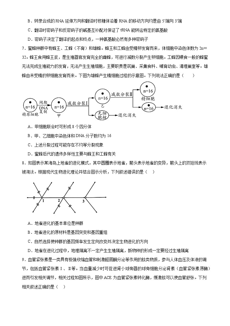 2024-2025学年高三生物上学期期末通关卷02(安徽卷)(原卷版)-A4第3页