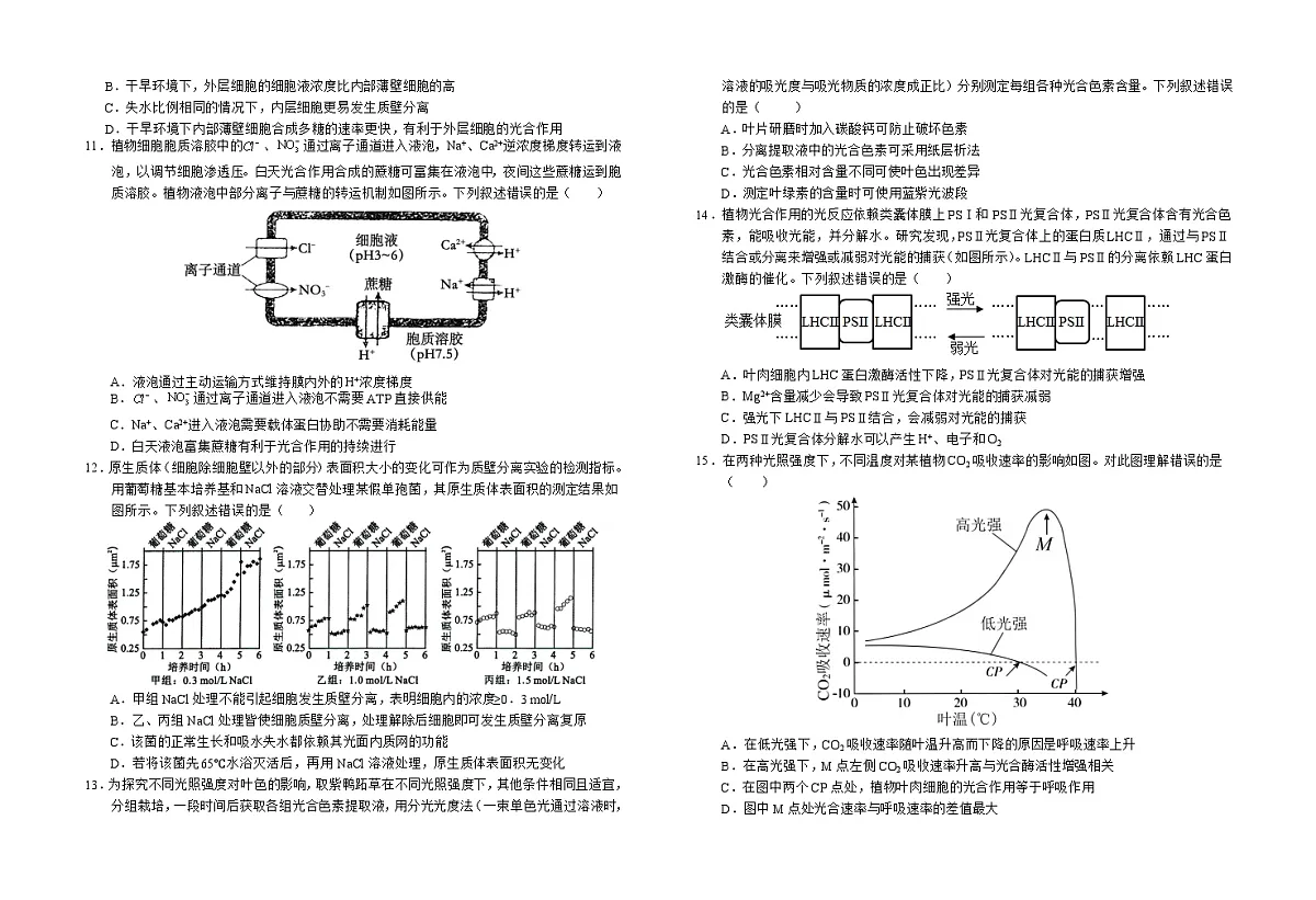 安徽省六安市金安区安徽省六安第一中学2024-2025学年高一上学期1月期末生物试题第3页