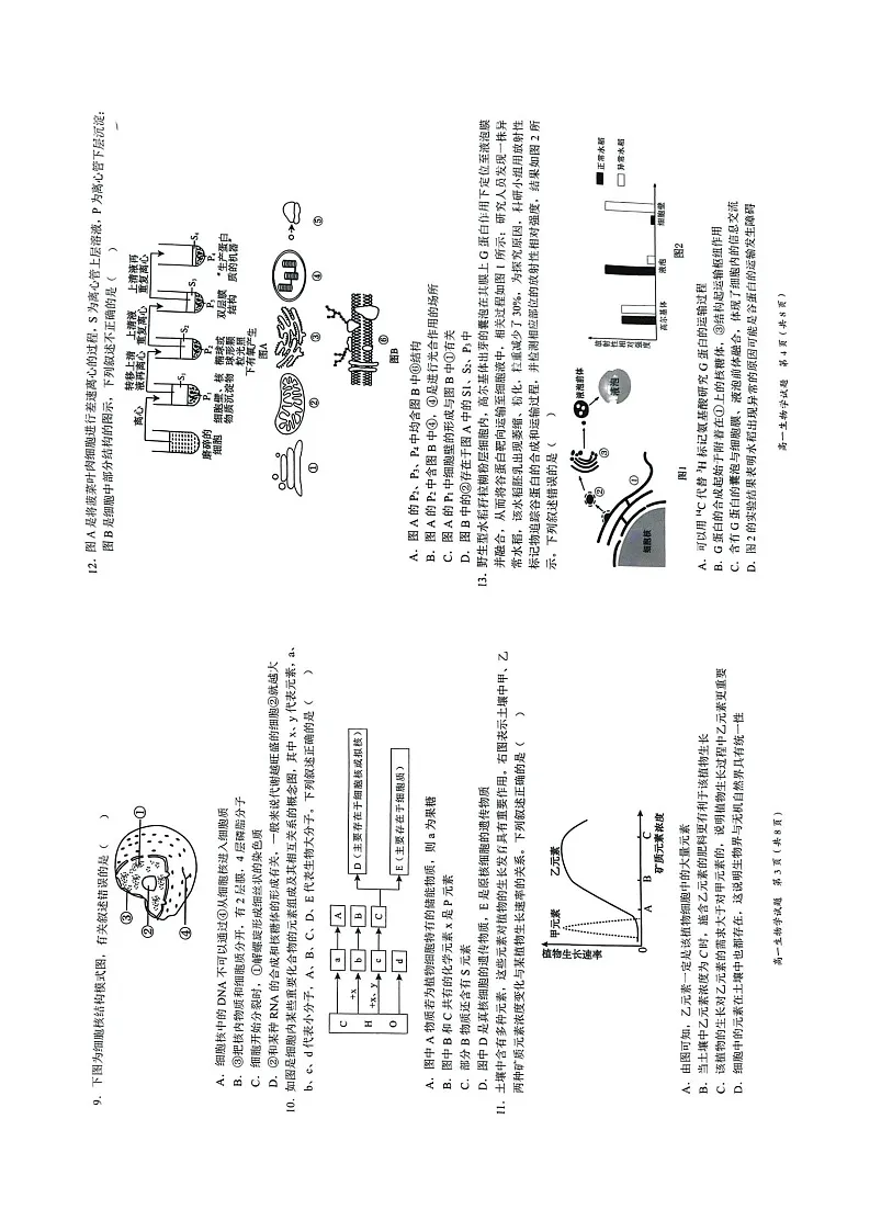 广西示范性高中2025-2026学年高一上学期11月期中考试生物试卷第2页