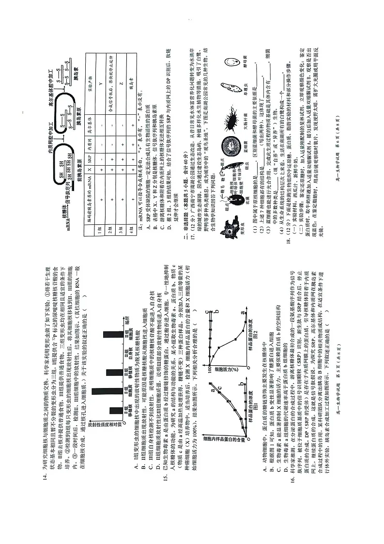 广西示范性高中2025-2026学年高一上学期11月期中考试生物试卷第3页