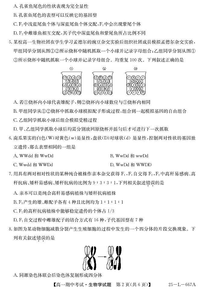 安徽省滁州市2024-2025学年高一下学期期中生物试题第2页