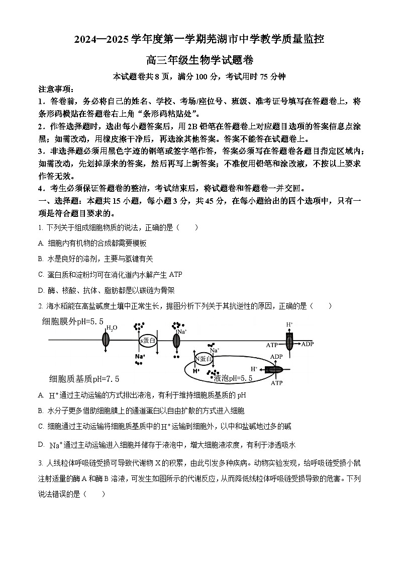 安徽省芜湖市2024—2025学年高三上学期期末考试生物试题(原卷版)-A4第1页