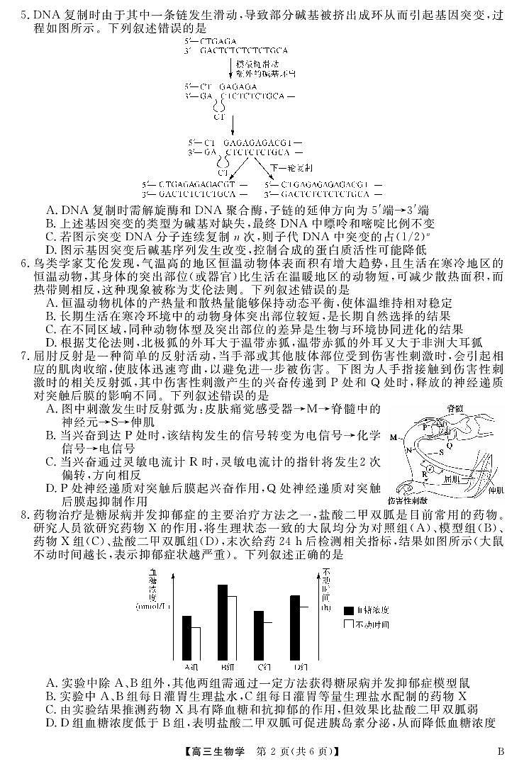 2025届安徽师范大学附属中学高三下学期4月质量检测生物试题第2页