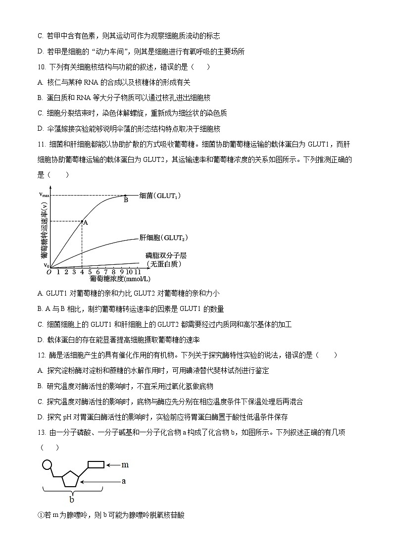 安徽省阜阳市阜南县安徽省阜南实验中学2024-2025学年高一上学期1月期末生物试题(原卷版)-A4第3页