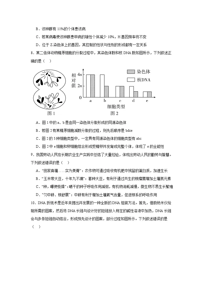 生物-辽宁省大连市第二十四中学2025-2026学年高三上学期期中Ⅰ试题及答案第3页