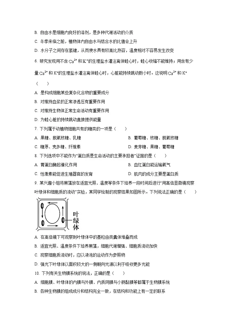 2025-2026学年广东省广州市越秀区广州市某校高一上学期11月期中生物试题(学生版)第2页