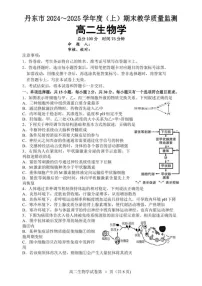 辽宁省丹东市2024-2025学年高二上学期期末教学质量调研测试生物试卷
