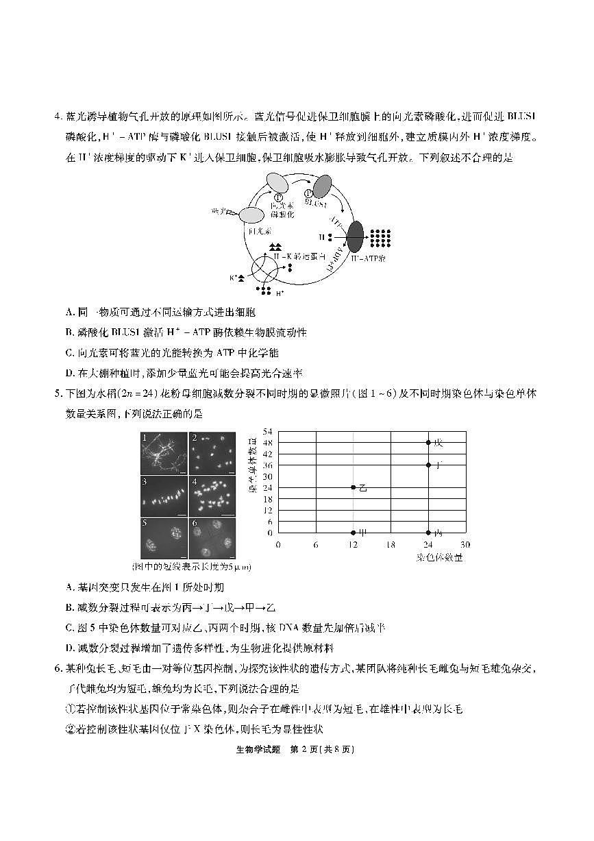 安徽六校教育联盟会2026届高三上学期9月入学素养测试-生物试题+答案第2页
