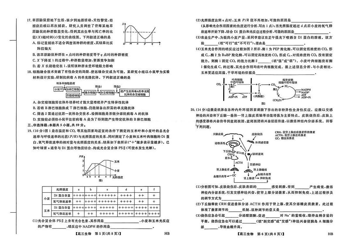 河南省金科大联考2026届高三上学期9月质量检测-生物试题+答案第3页