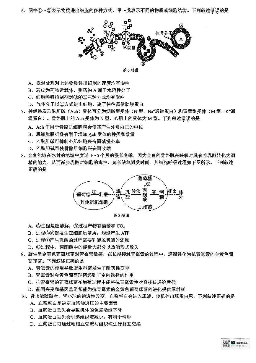 浙江省9 1高中联盟2026届高三上学期期中考试 生物 PDF版含答案第2页