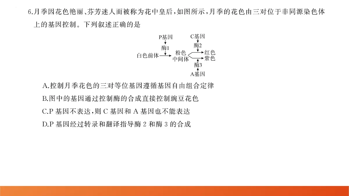 生物第7页