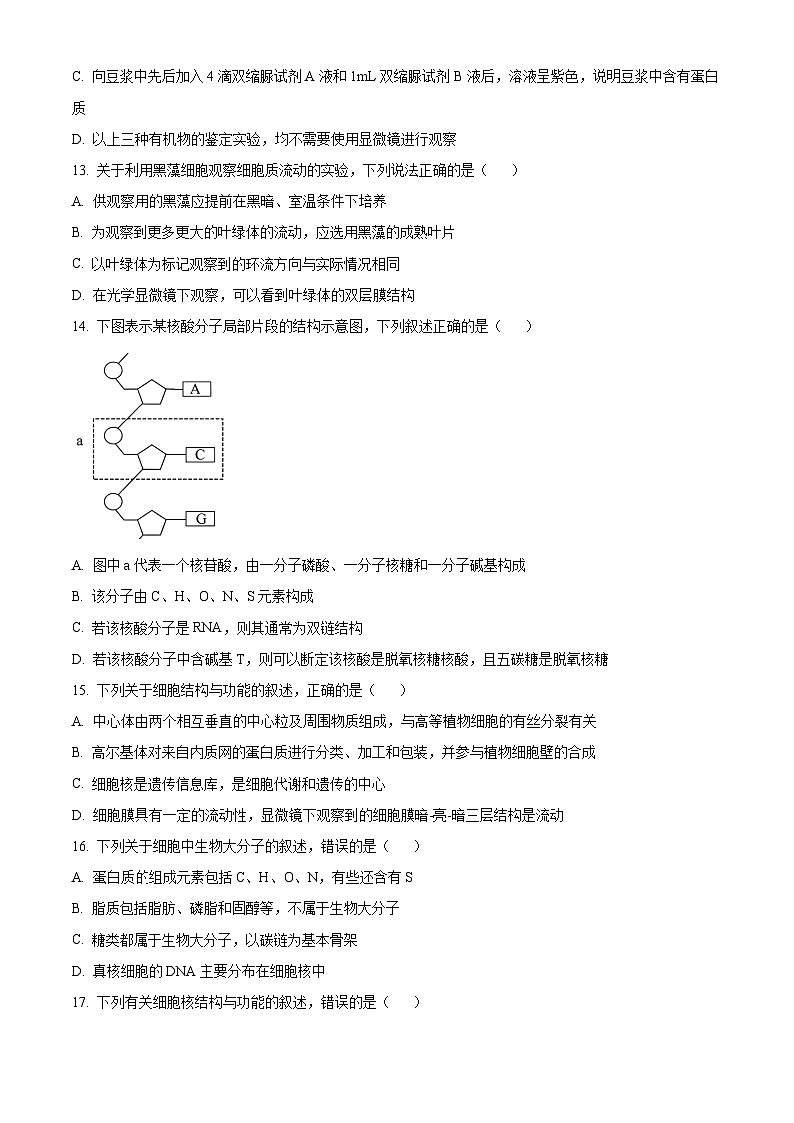 浙江省A9协作体2025-2026学年高一上学期11月期中生物试题 Word版无答案第3页