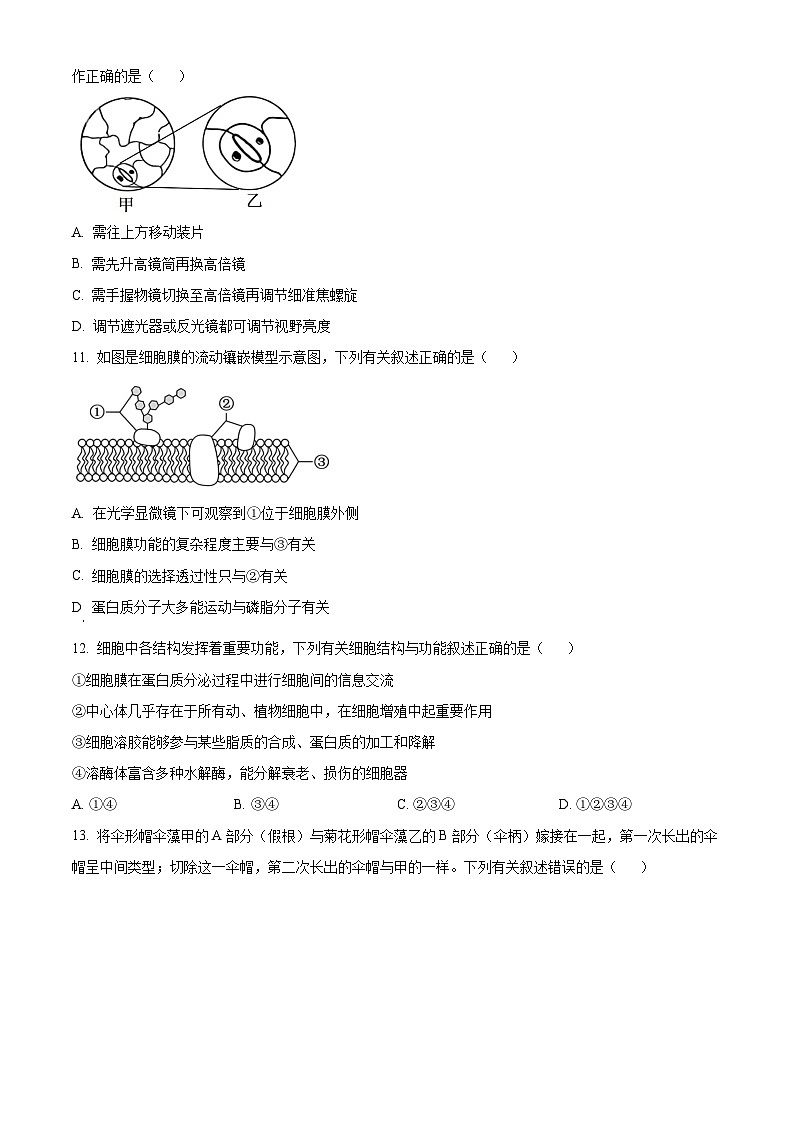 浙江省浙南名校联盟2025-2026学年高一上学期11月期中生物试题 Word版无答案第3页