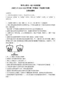 安徽省合肥市第八中学2024-2025学年高一下学期期中生物试题-A4