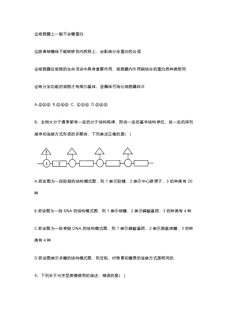 安徽省阜阳市阜南县安徽省阜南实验中学2024-2025学年高一上学期11月期中生物试题第3页