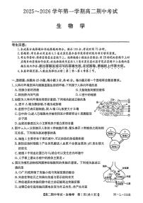 安徽省县中联盟2025-2026学年第一学期高二期中考试生物试卷（含答案）