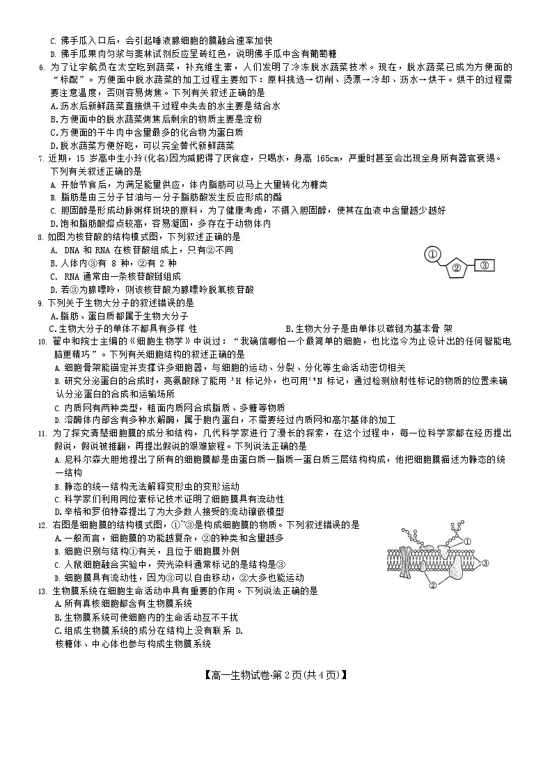安徽省合肥市百花中学等四校联考2025-2026学年高一上学期11月期中考试生物试卷第2页
