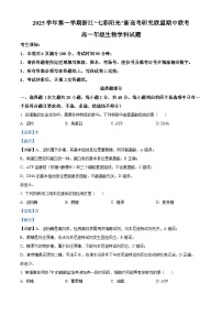 浙江省”七彩阳光“新高考研究联盟2025-2026学年高一上学期期中联考生物试卷（Word版附解析）