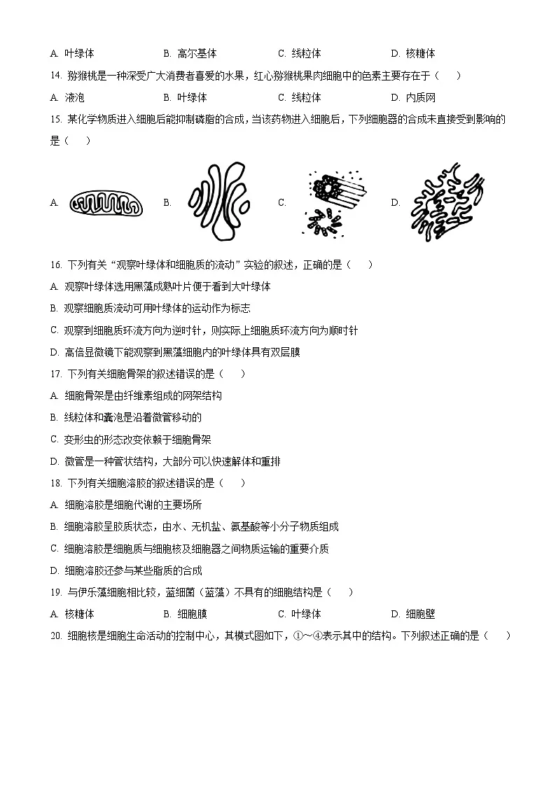 浙江省温州十校2025-2026学年高一上学期11月期中生物试题 Word版无答案第3页