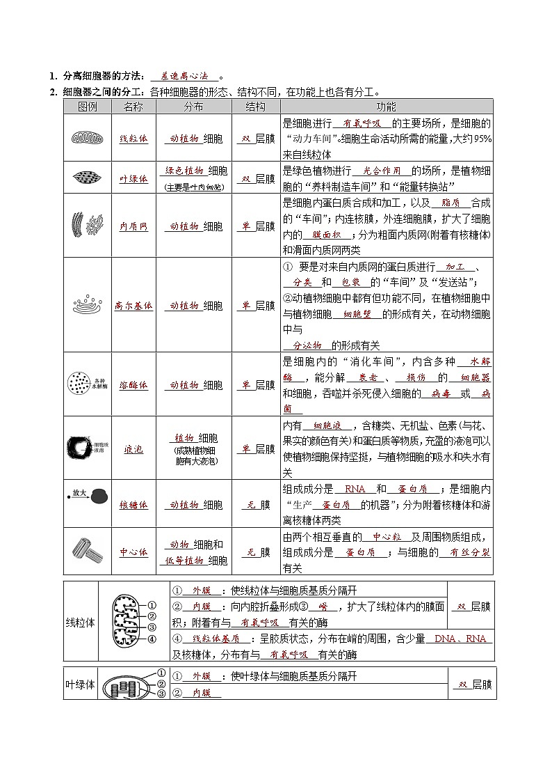 第3章 细胞的基本结构-【必背知识】高一生物章节知识梳理(人教版必修第一册)(背诵版)第3页