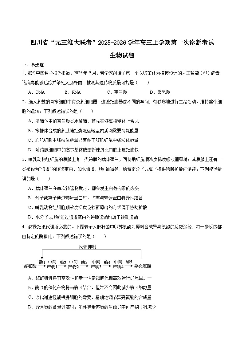 四川省绵阳市元三维大联考2025-2026学年高三上学期第一次诊断考试 生物 试题Word版含答案第1页