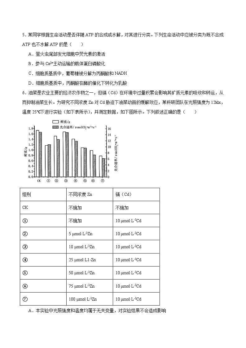 四川省绵阳市元三维大联考2025-2026学年高三上学期第一次诊断考试 生物 试题Word版含答案第2页