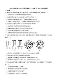 山西省大同市2025-2026学年高一上学期10月夯基考生物试卷（Word版附答案）
