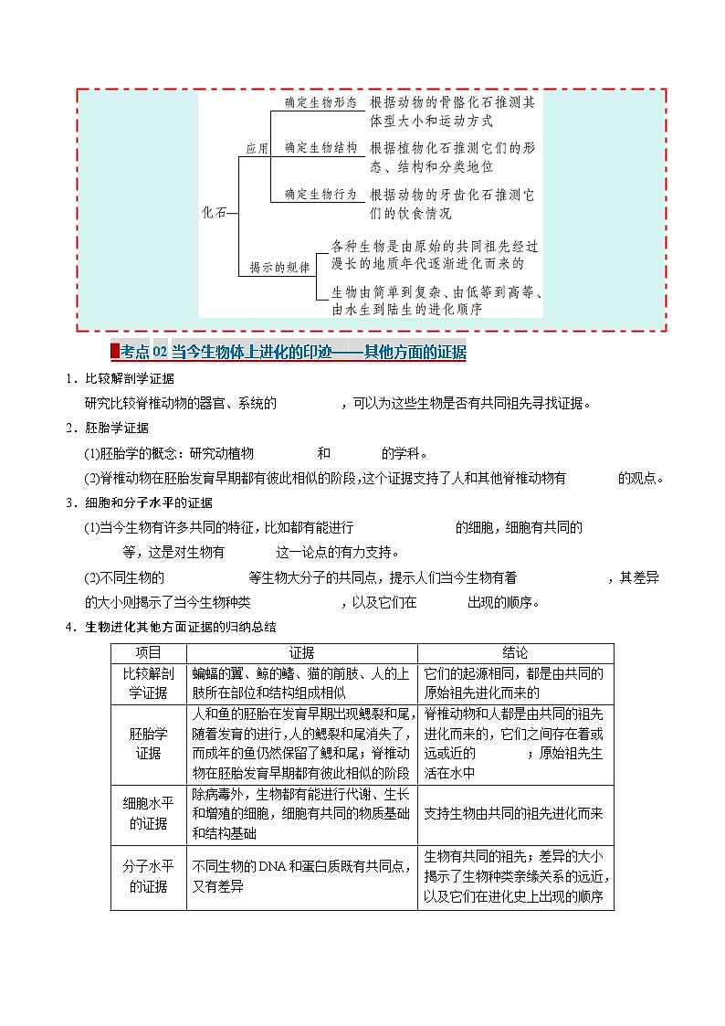 【考点清单】专题05 生物的进化(11大考点)(原卷版) 第2页