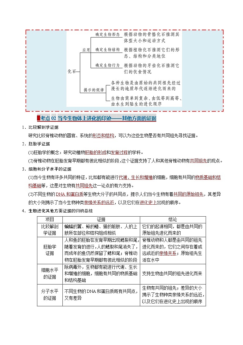 【考点清单】专题05 生物的进化(11大考点)(教师版) 第2页