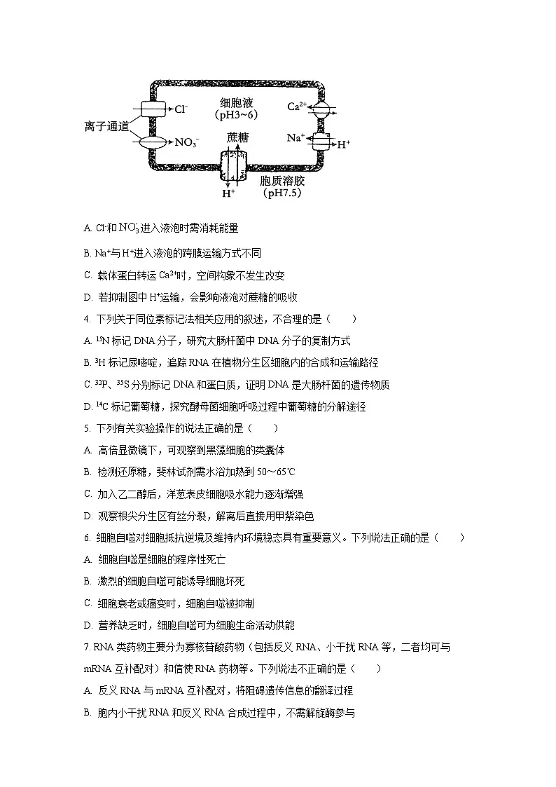 黑龙江省绥化市2025-2026学年高三上学期期中考试生物试卷(学生版)第2页