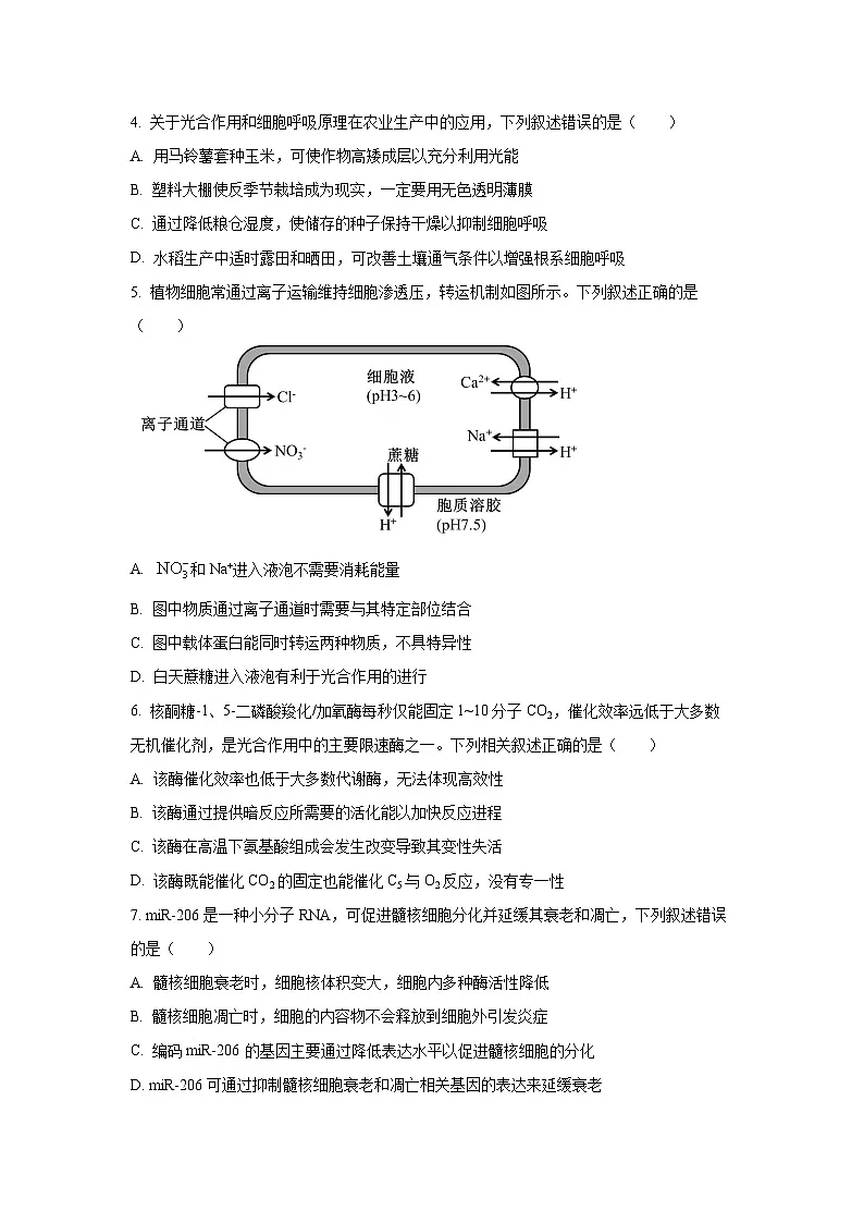 江苏省连云港市2025-2026学年高三上学期期中考试生物试卷(学生版)第2页