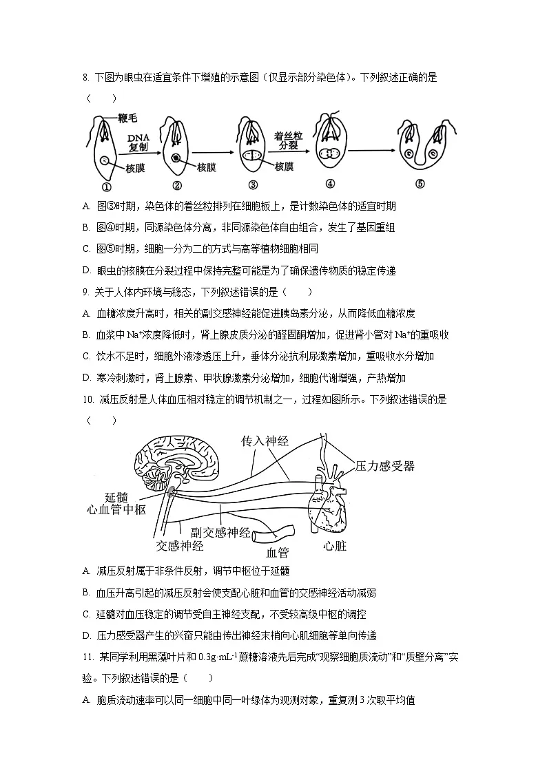 江苏省连云港市2025-2026学年高三上学期期中考试生物试卷(学生版)第3页