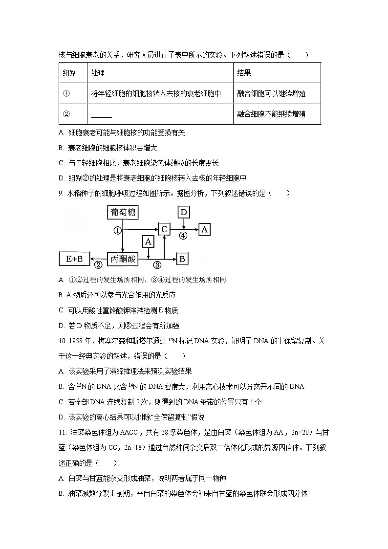 河南省新乡市2025-2026学年高三上学期期中生物试卷(学生版)第3页