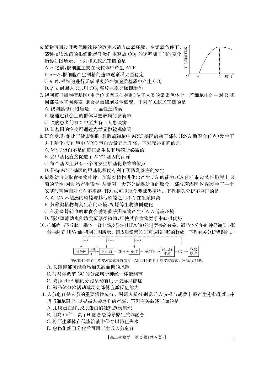 青海省金太阳2025-2026学年高三上学期11月月考生物试题(含答案)第2页