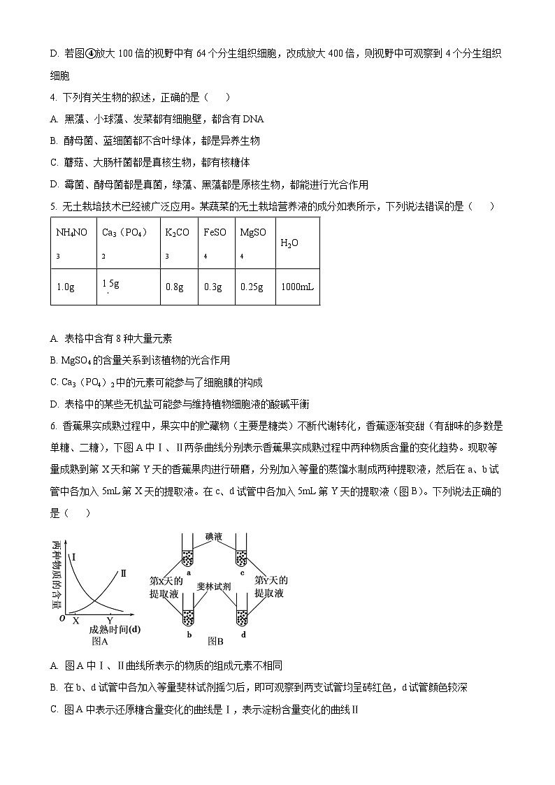 安徽省淮南市二中2025-2026学年高一上学期期中考试生物学试卷(原卷版)第2页