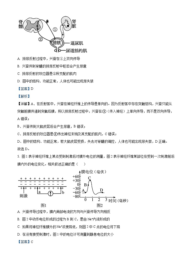 湖南省长沙市明德中学2025-2026学年高二上学期期中考试生物试题 Word版含解析第3页