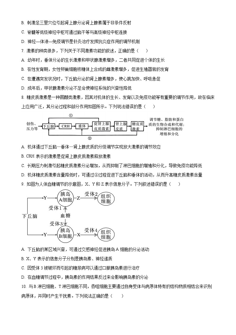 湖南省长沙市明德中学2025-2026学年高二上学期期中考试生物试题(原卷版)第3页