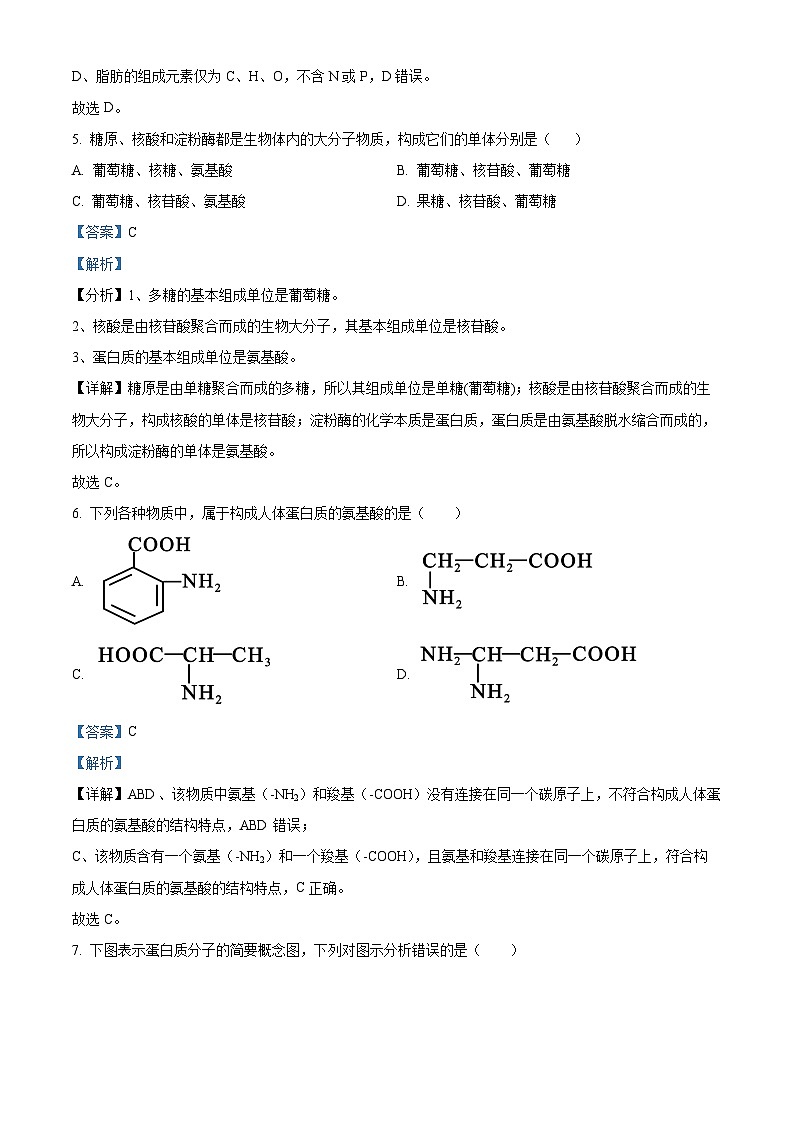 湖南省长沙市明德中学2025-2026学年高一上学期11月期中生物试题 Word版含解析第3页