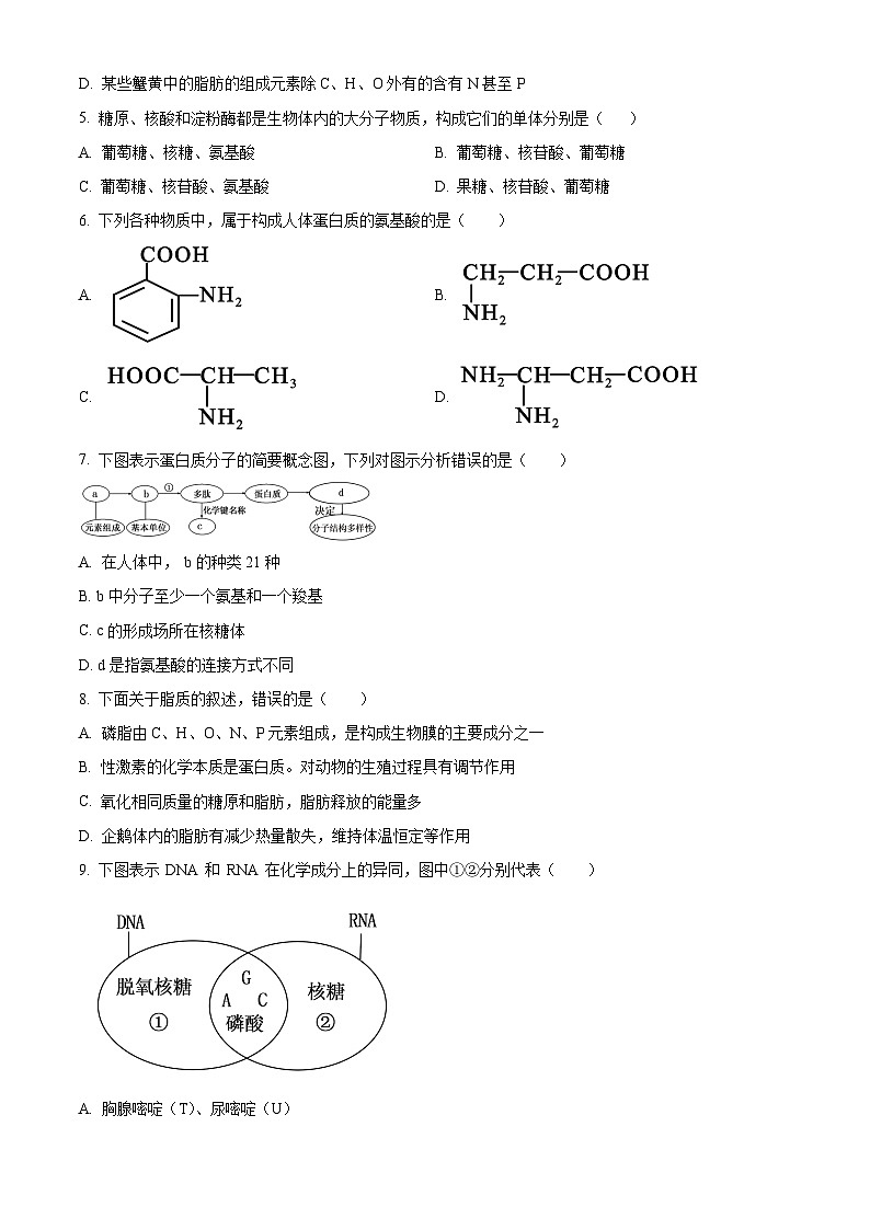 湖南省长沙市明德中学2025-2026学年高一上学期11月期中生物试题(原卷版)第2页
