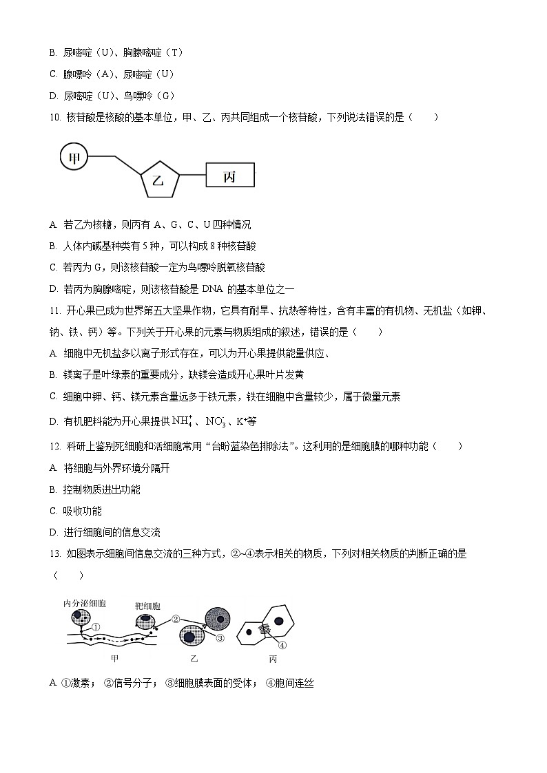 湖南省长沙市明德中学2025-2026学年高一上学期11月期中生物试题(原卷版)第3页