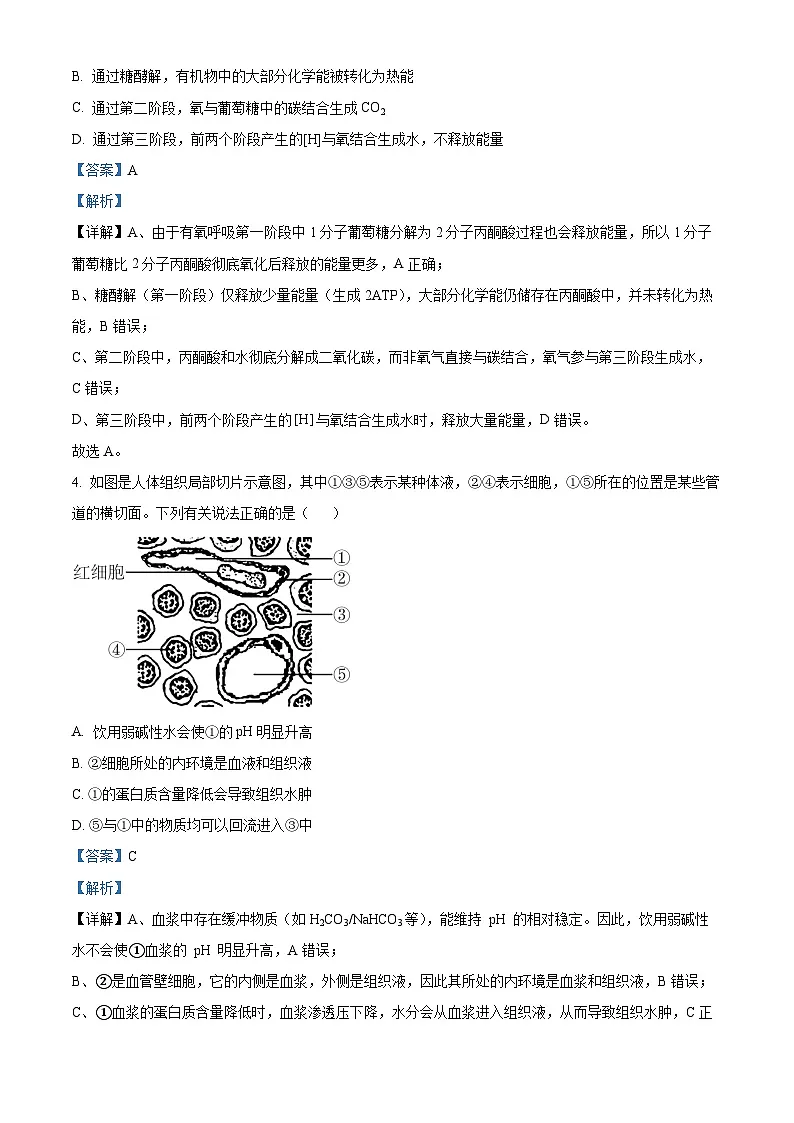 浙江省9+1联盟2025-2026学年高二上学期11月期中生物试题 Word版含解析第2页