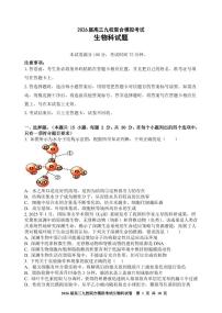 吉林省九校联考2026届高三上学期11月联合模拟生物试卷+答案