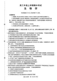 2025年河北太阳高三上学期11月期中生物试题及答案