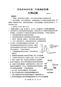 山东省青岛市2024-2025学年高二上学期1月期末生物试题