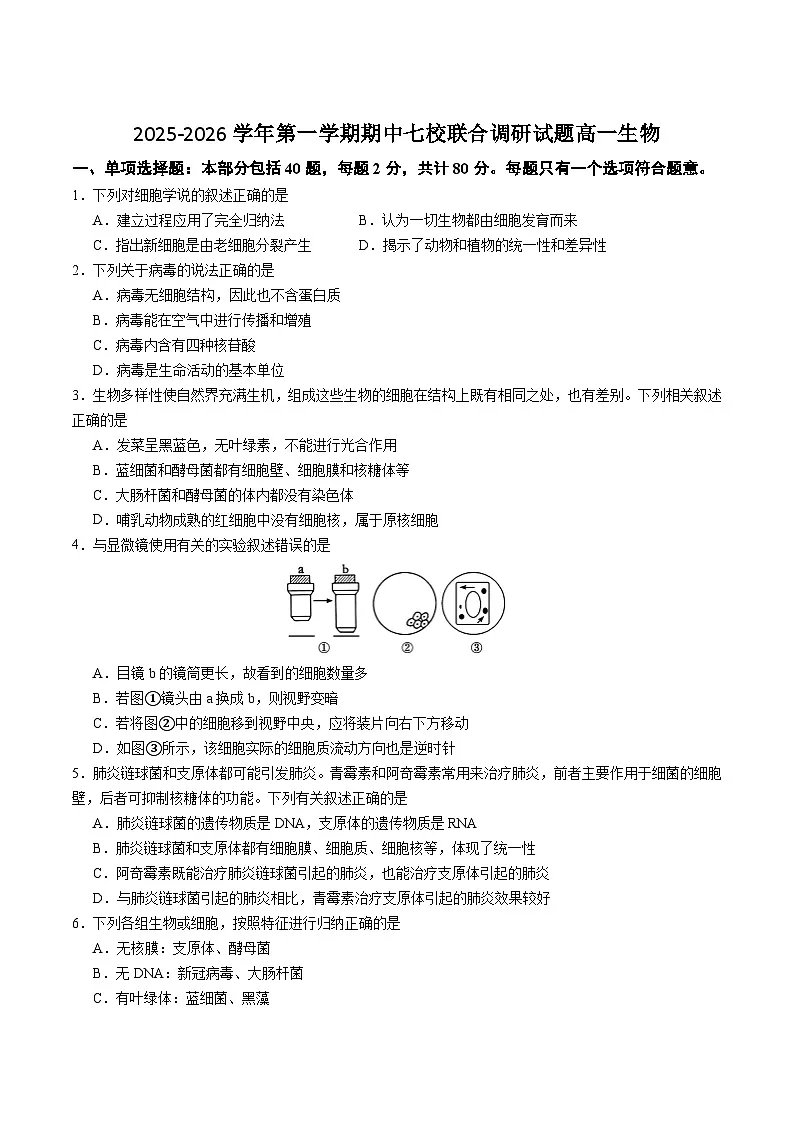 江苏省七所名校2025-2026学年高一上学期11月期中调研生物考试 (含答案)第1页